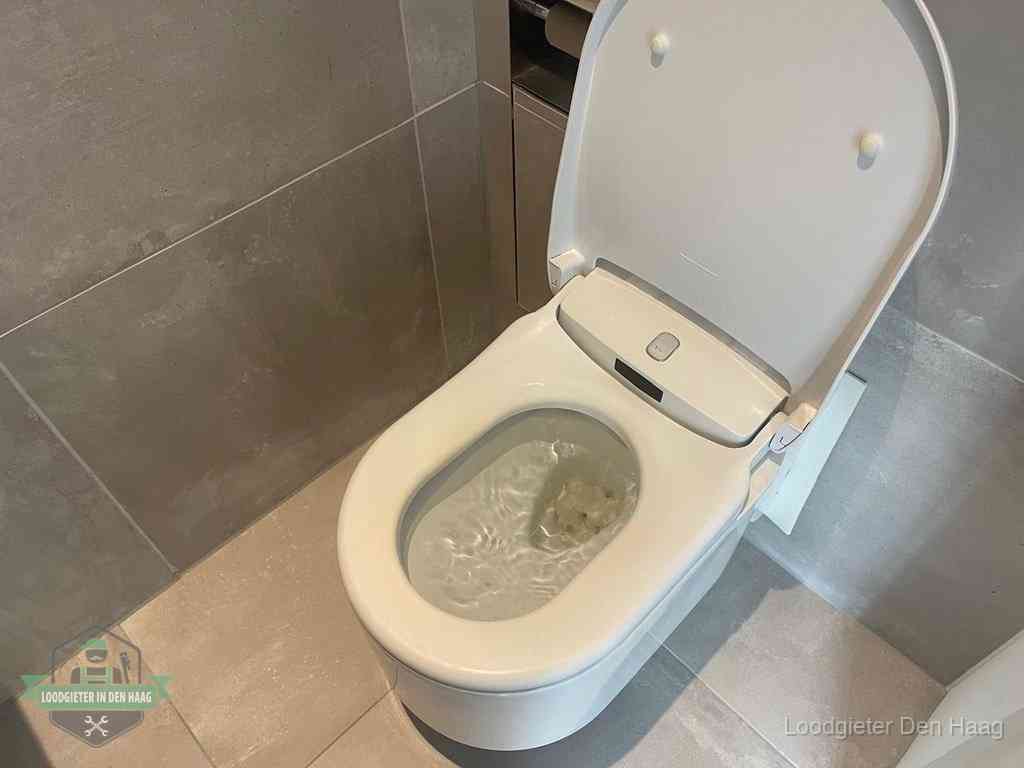 Wc Verstopt In Denhaag Wc Verstopt In Denhaag